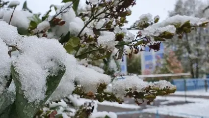 Метеорологи рассказали, когда в Татарстане выпадет снег