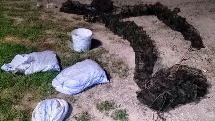 Татарстанцу может грозить срок за вылов 600 раков из Нижнекамского водохранилища - НТР 24