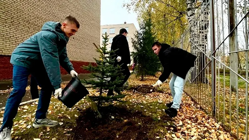 В Нижнекамске высадили голубые ели в память о погибших участниках СВО