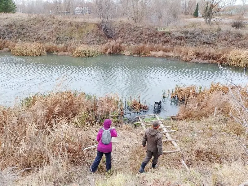 Нижнекамские специалисты выяснили, какая рыба водится в Омшанке