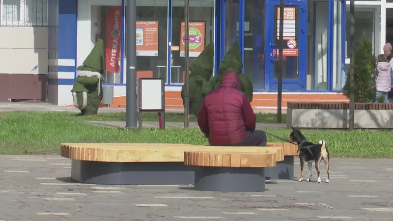 В Татарстане планируют ввести обязательную регистрацию собак