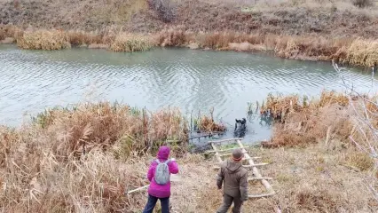 Нижнекамские специалисты выяснили, какая рыба водится в Омшанке