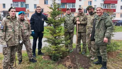 Ветераны СВО посадили голубую ель возле пункта сбора гумпомощи в Нижнекамске