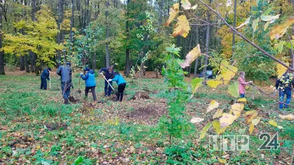 Более 500 кубометров отходов собрали участники акции «Чистые леса Татарстана»