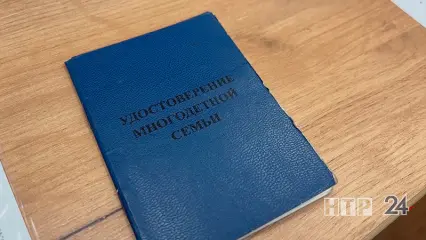 На портале «Госуслуги» запустили новый сервис для многодетных семей - НТР 24