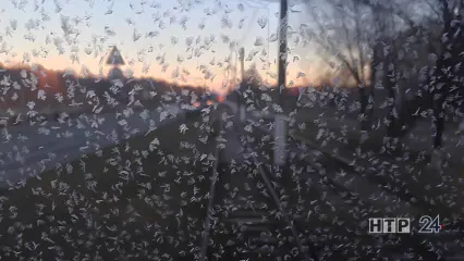 В Татарстане прогнозируется непогода в виде сильного ветра и мокрого снега - НТР 24