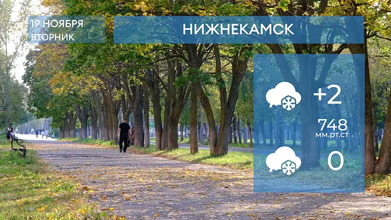 Прогноз погоды в Нижнекамске на 19-е ноября 2024 года