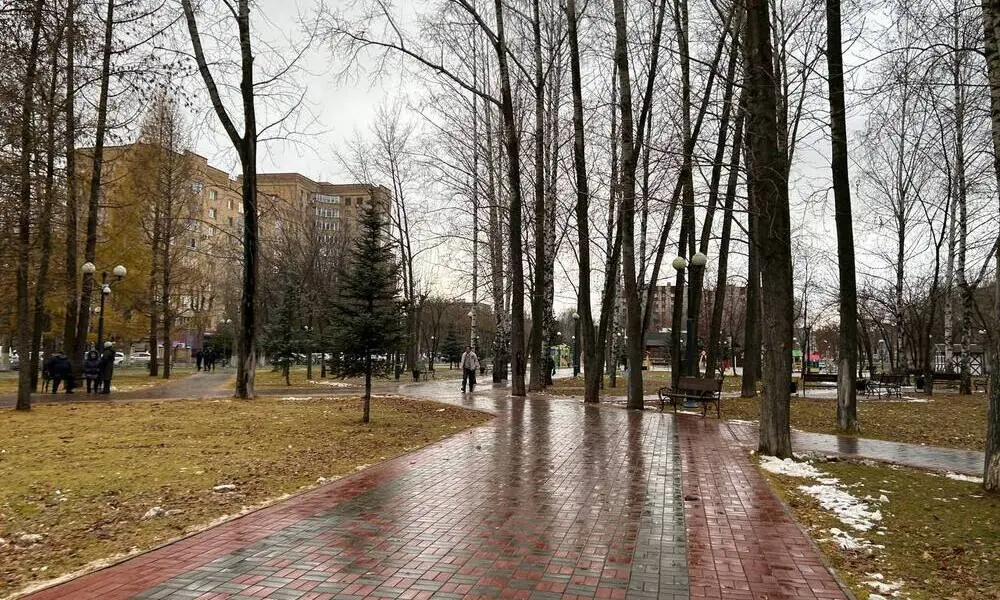 Непогода близко: татарстанцев предупредили о порывистом ветре и мокром снеге