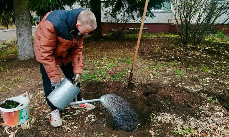 В Нижнекамске волонтеры присоединились к акции «Живая память»