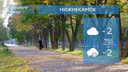 Прогноз погоды в Нижнекамске на 13-е ноября 2024 года