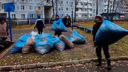 Нижнекамцы убрались на прилегающих территориях садиков и гимназии