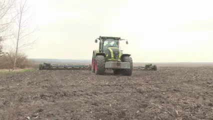 В Татарстане завершили уборку сахарной свеклы