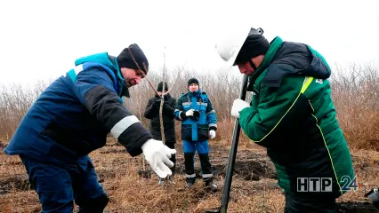 В Нижнекамском районе прошла совместная высадка деревьев СИБУРа и «Татнефти» title=