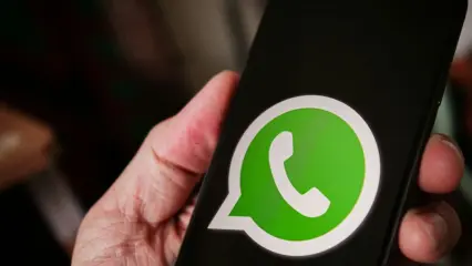 Из-за ошибки в новой версии WhatsApp зеленеет экран