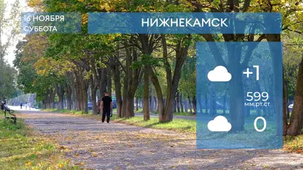 Прогноз погоды в Нижнекамске на 16-е ноября 2024 года