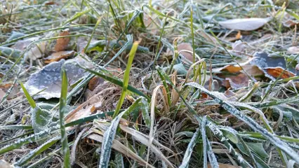 Штормовое предупреждение: в Татарстане резко испортится погода - НТР 24