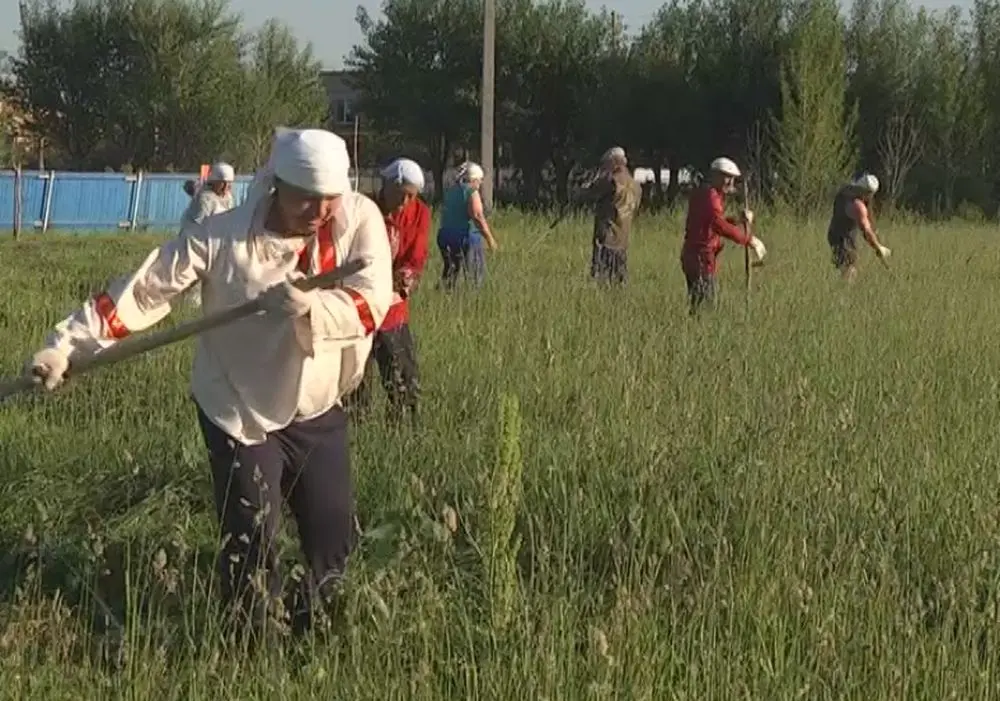 Более 45 тысяч татарстанцев получают сельскую надбавку к пенсии