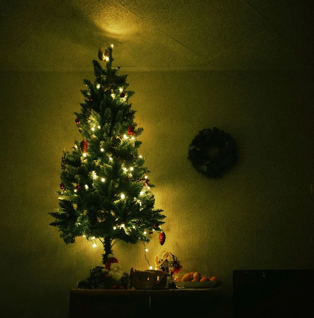 Украшенная новогодняя ёлочка // Фото: https://unsplash.com/photos/a-lit-christmas-tree-in-a-corner-of-a-room-ERyeF9nu-ZA