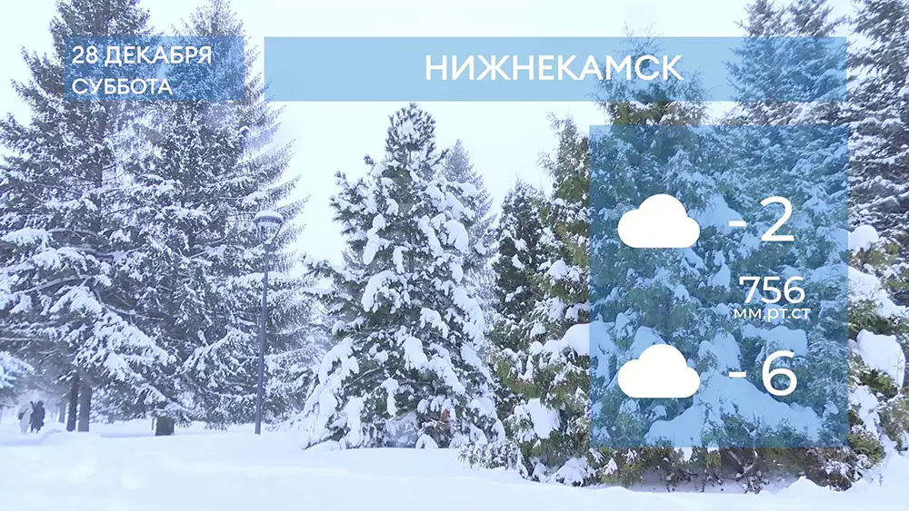 Прогноз погоды в Нижнекамске на 28-е декабря 2024 года