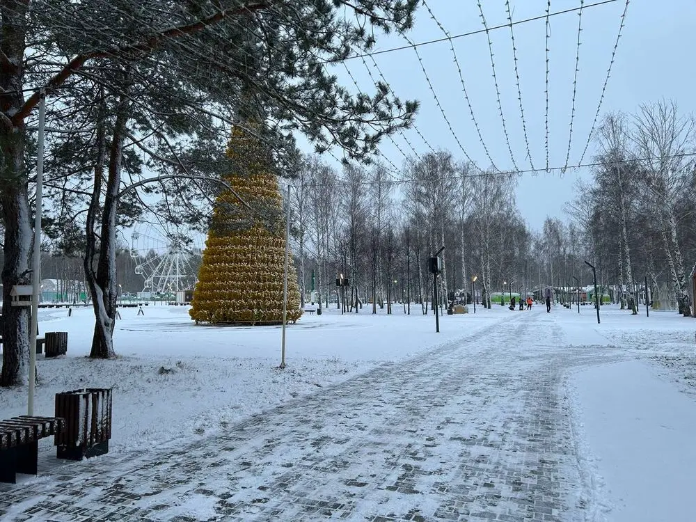 В понедельник, 16 декабря, в Нижнекамске откроется первый ёлочный городок — в парке «Семья».