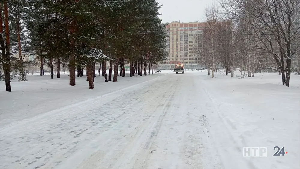 Воскресенье, 15 декабря принесёт в Татарстан морозы до 15-20 градусов ниже нуля в ночное время, а при прояснениях до -23 градусов. Днём же градусники покажут от -6 до -11 градусов.