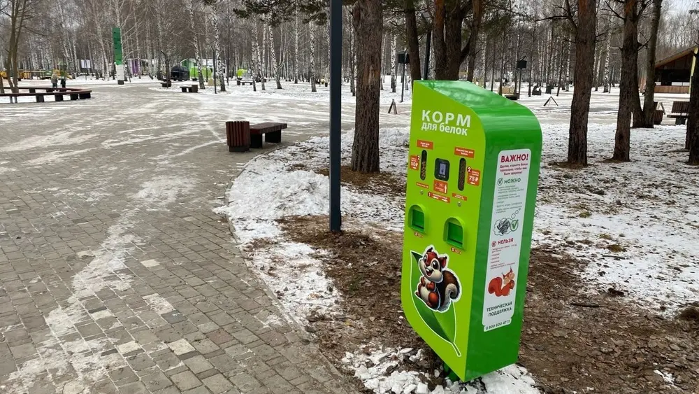 В нижнекамском парке появились аппараты с орешками для белок