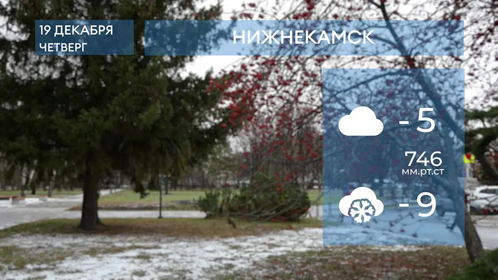 Прогноз погоды в Нижнекамске на 19-е декабря 2024 года