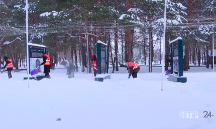 Гости Нижнекамска провели уборку снега в городском парке «Семья»