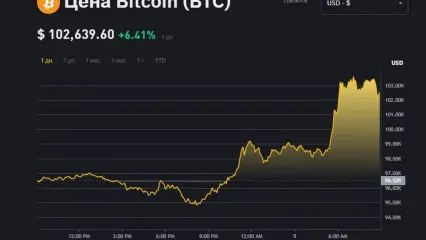 Исторический максимум: курс биткойна впервые превысил 100 тыс. долларов