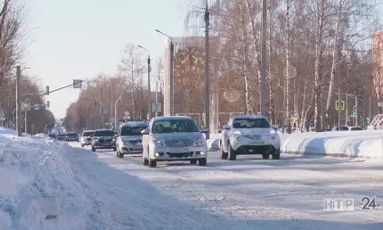 В Татарстане 2024 год закончится аномально теплой погодой