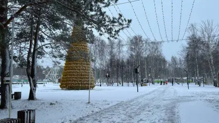 Метеоролог Переведенцев сообщил, что снег ляжет в Татарстане к середине декабря