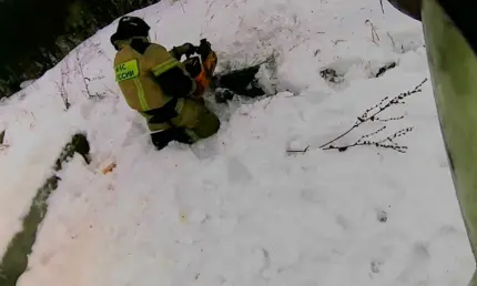 Нижнекамские пожарные спасли собак застрявших в бетонной трубе