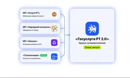 В Татарстане появится мобильное приложение «Госуслуги РТ 2.0»