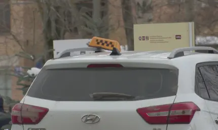 В Татарстане мигрантам запретили работать ветеринарами и таксистами - НТР 24