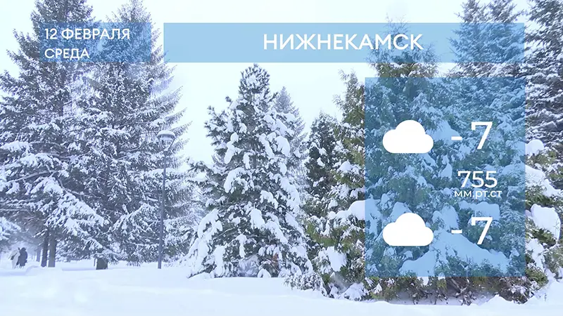 Прогноз погоды в Нижнекамске на 12-е февраля 2025 года