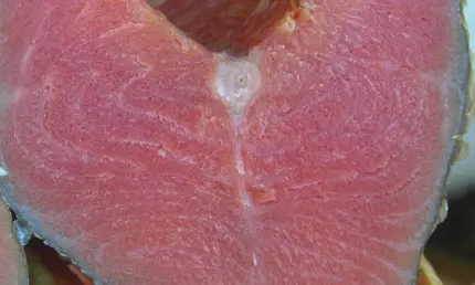 В «Перекрёстке» в рыбе марки «Люди Любят» обнаружили червей - НТР 24