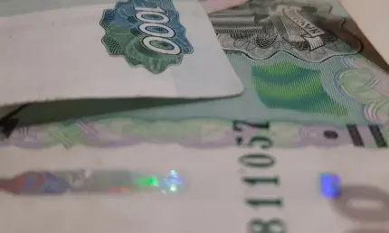 Социальный контракт стал доступнее: правительство внесло изменения - НТР 24