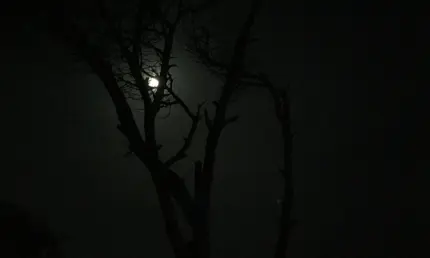 Авария на подстанции оставила без света часть Нижнекамска - НТР 24