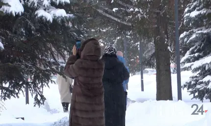 Департамент для борьбы с одиночеством предложили создать в России - НТР 24