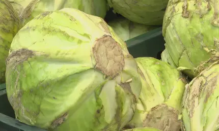 Названы продукты, которые можно чистить в магазине еще до покупки - НТР 24