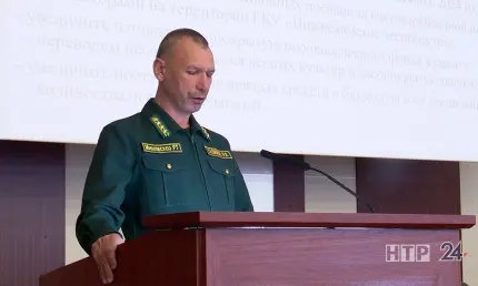 В Нижнекамске подвели итоги работы местного лесничества - НТР 24