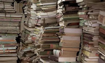 Нижнекамцы могут заработать на сдаче макулатуры - НТР 24