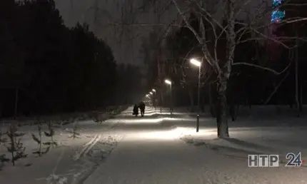 В Нижнекамске прошлой ночью был объявлен сбор на поиски потерявшейся женщины - НТР 24