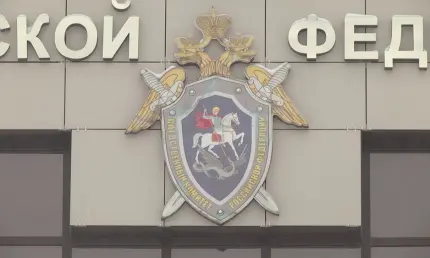 Бастрыкину доложат о ходе расследования дела об избиении нижнекамской школьницы - НТР 24