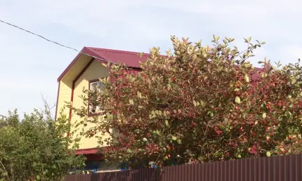 С 1 марта для дачников начнут действовать новые штрафы - НТР 24