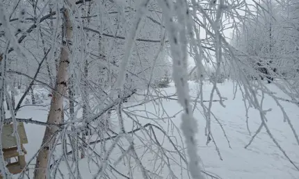 Европейскую часть России ждет первое в этом году похолодание ниже климатической нормы - НТР 24