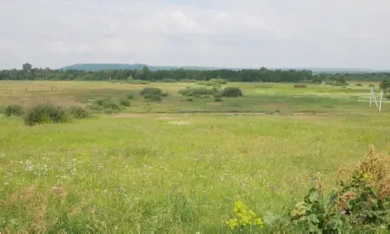 В Татарстане проверят сохранность 400 геодезических пунктов - НТР 24