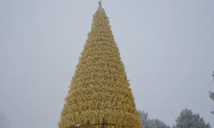 В Нижнекамске белка вывела бельчат на городской ёлке - НТР 24
