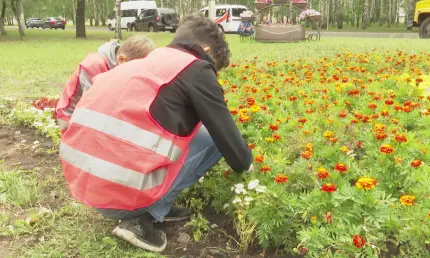 В Татарстане за 2024 год трудоустроили почти 13 тысяч подростков - НТР 24