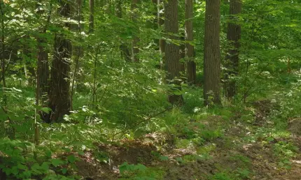 В Татарстане обнаружили новые редкие виды насекомых - НТР 24